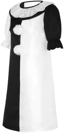 Amazing clown costume Halloween_dirs for adults