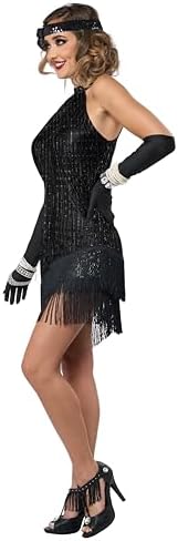 California Costumes Womens Flapper Costume Set