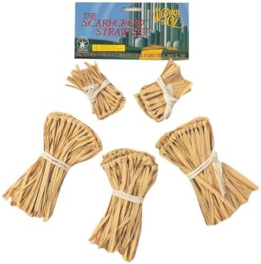 Elevate Your Costume with Rubies Wizard of Oz Straw Kit