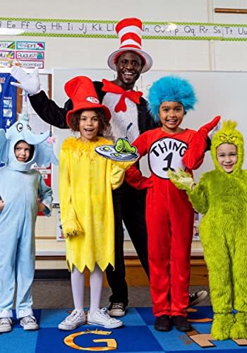 Eloped The Cat in the Hat costume adults perfect parcel
